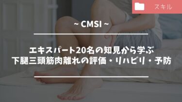 下腿三頭筋肉離れの評価・リハビリ・予防【論文紹介】